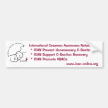 ICAN Bumper Sticker