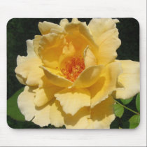 =IcaruS= Peachy Rose: Mousepad mousepads