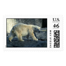 ice bear postage by visionaryplaces ice bear postage