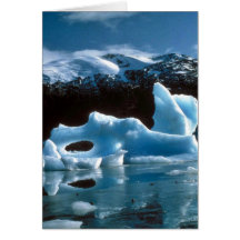 Ice Berg Cards