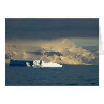 Ice Berg in the starts of the Drake Passage just Cards