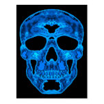 Ice Blue Skull Postcard