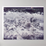 Ice Bubs framed posters