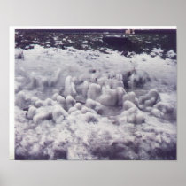 Ice Bubs framed Print