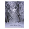 Ice Cathedral 2 ~ print by Andy2302 Ice Cathedral 2 ~ print
