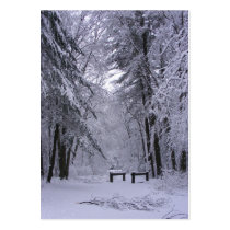 Ice Cathedral ~ ATC business cards