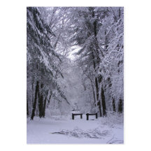 Ice Cathedral ~ ATC Business Card Templates