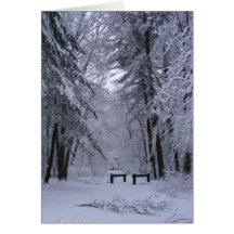 Ice Cathedral ~ card