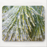 Ice Coated Pine Needles Mousepad