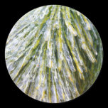 Ice Coated Pine Needles Sticker