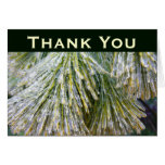 Ice-Coated Pine Needles Thank You Card
