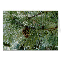 Ice Covered Pine Tree (Seasons Greetings) Card cards