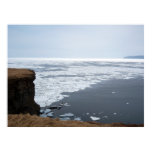 Ice Covered Poster