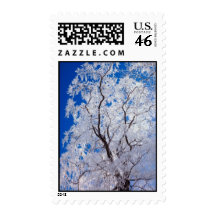 Ice Covered Tree Postage