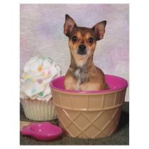 Ice cream anyone? flyers