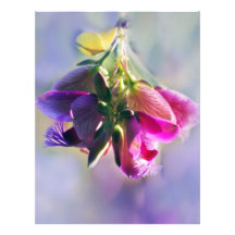 Ice cream bush flowers and meaning customized letterhead