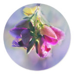 Ice cream bush flowers and meaning round sticker