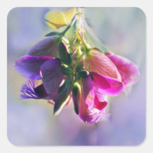 Ice cream bush flowers and meaning stickers
