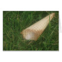 Ice Cream Cone Card