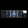 Ice Crystal Grove Fractal Art. Blue & Black Custom