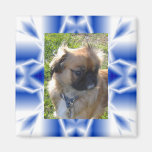 Ice Crystal Photo Magnet