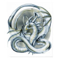 Ice Dragon posters