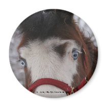 Ice eyes refrigerator magnet