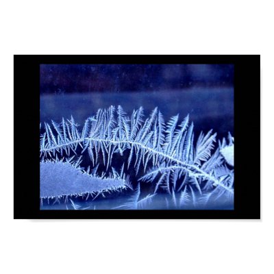 Ice Fern Print by CorjdaughterofCora