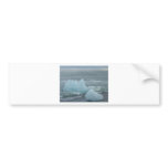 Ice floes bumper stickers