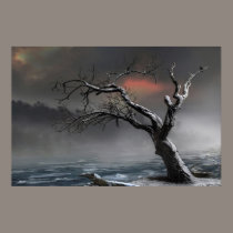 Ice Floes posters