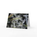 Ice flowers cards