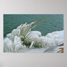 Ice Formations Poster