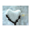 Ice Heart postcards by PhotoDigital Ice Heart postcards