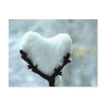 Ice Heart postcards