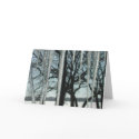 Ice Lake Tree cards