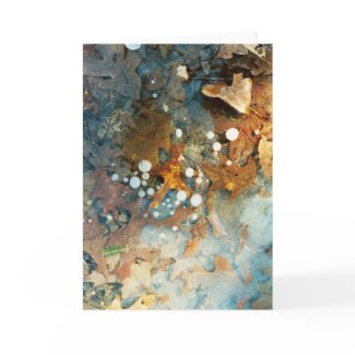 ice leaf abstract card