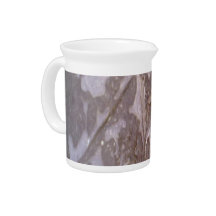 Ice on the ground photo beverage pitchers