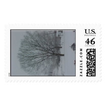 "ICE ON THE TREE" postage