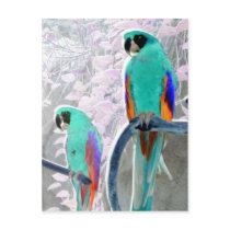Ice Parrots postcards by Brandi_Ballard Ice Parrots postcards