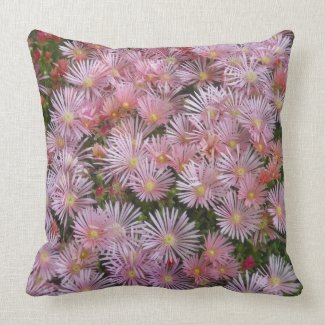 Ice Plant American MoJo Pillows