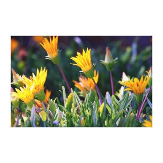 Ice Plant Gallery Wrap Canvas