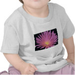 Ice plant (Lampranthus glomeratus) flowers t-shirts