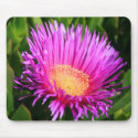 Ice Plant Mousepad