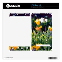 Ice Plant HTC Evo 4G Decal