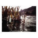 Ice Reflections posters by Tcrash81 Ice Reflections posters