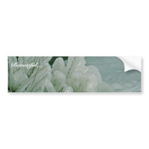Ice Sculptures bumper stickers by animalpark Ice Sculptures bumper stickers
