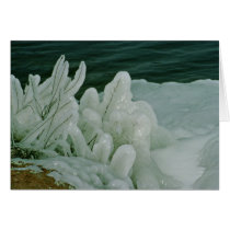 Ice Sculptures cards by animalpark Ice Sculptures cards