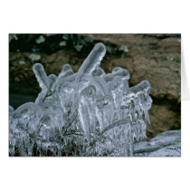 Ice Sculptures cards by animalpark Ice Sculptures cards