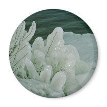 Ice Sculptures magnets by animalpark Ice Sculptures magnets