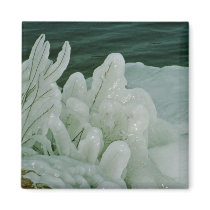 Ice Sculptures magnets by animalpark Ice Sculptures magnets